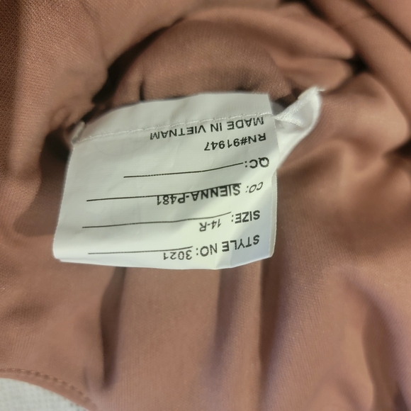 Size 14 BNWT Dress Collections Dress ( Bridesmaid / Wedding ) - Picture 4 of 4